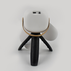 Portable rechargeable multifunctional ceiling fan fan light