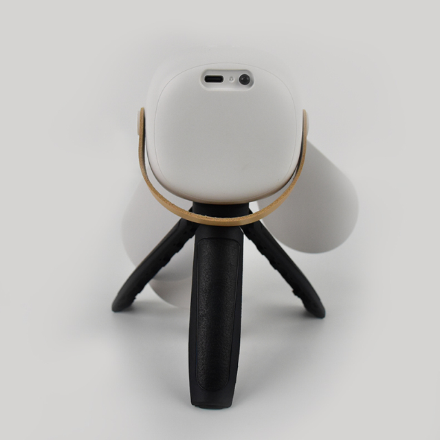 Portable rechargeable multifunctional ceiling fan fan light