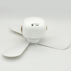 Portable rechargeable multifunctional ceiling fan fan light
