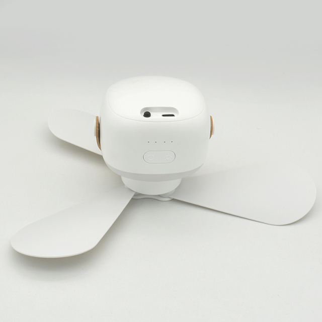 Portable rechargeable multifunctional ceiling fan fan light