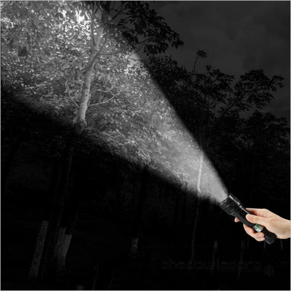 BH4 450nm Blue Laser Pointer With Flashlight 5 Models