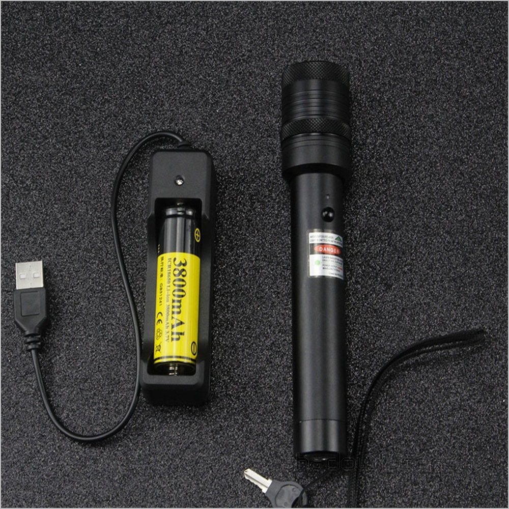 GS8-532nm Green Laser Pointer 100MW