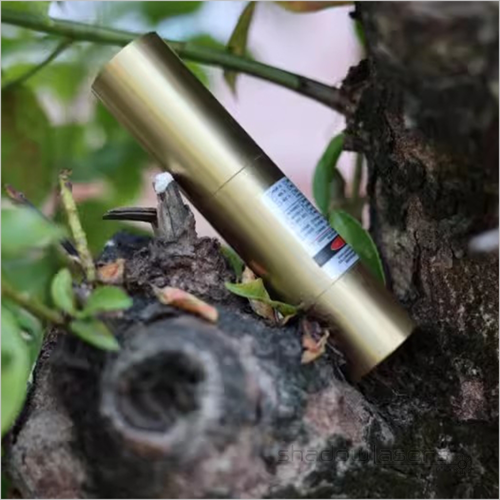 BD4-S 450nm Waterproof IP7 Blue Laser Pointer 1000MW Under Water 5M