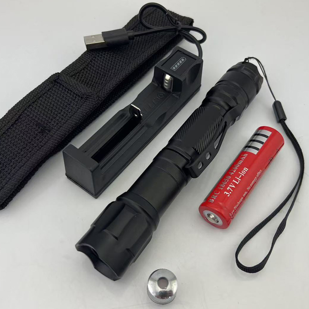 “HESTIA” GS9 532nm Green Laser Pointer 100mW