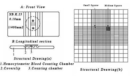 Hemocytometer Blood Counting Chamber with 100 Cover Slips Hemacytometer Blood Cell Counting