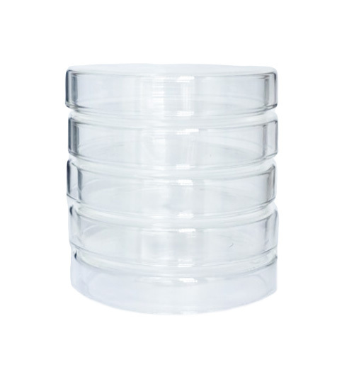 Glass Petri Dish with Cover Petri Plates Tissue Culture Plate 10 PACK