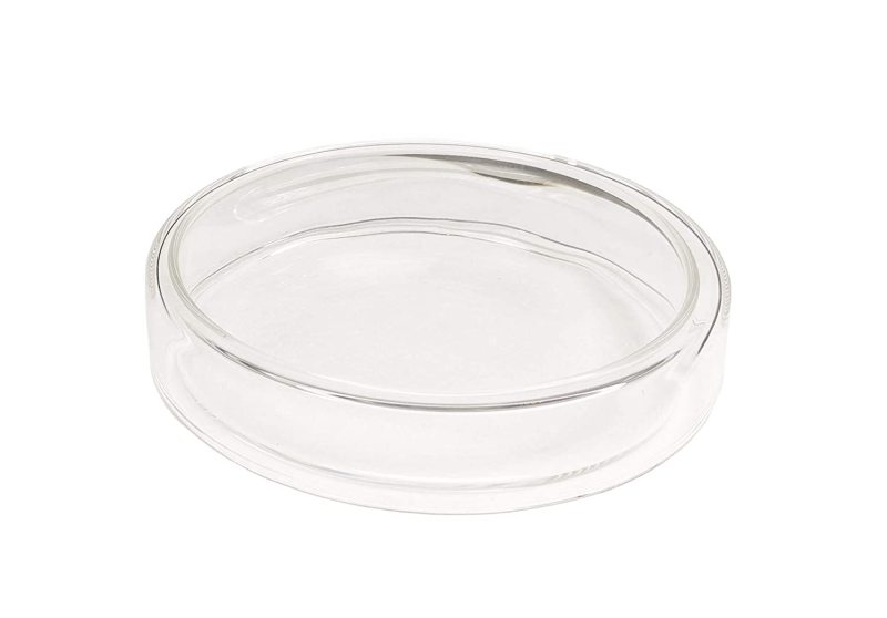 Glass Petri Dish with Cover Petri Plates Tissue Culture Plate 10 PACK