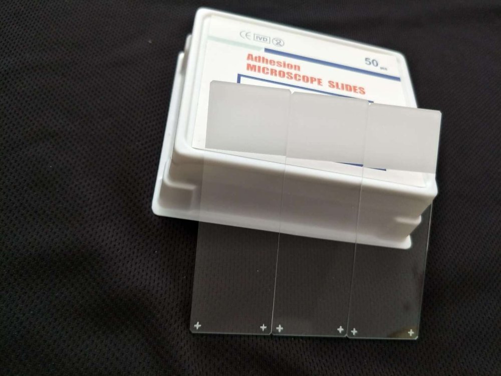 50 pcs Adhesion Microscope Slide Positively Charged (+)- 45° Corners Ground Edges