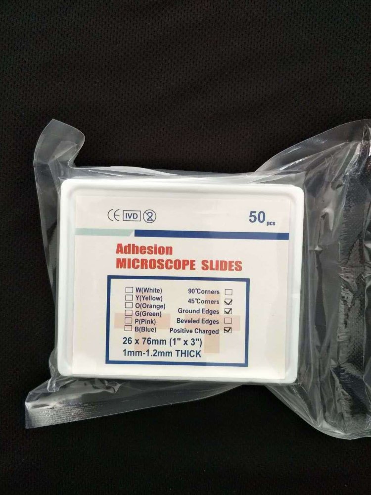 50 pcs Adhesion Microscope Slide Positively Charged (+)- 45° Corners Ground Edges