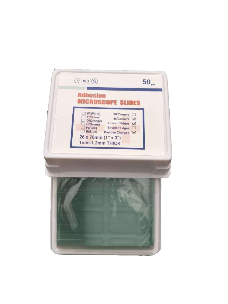 50 pcs Adhesion Microscope Slide Positively Charged (+)- 45° Corners Ground Edges