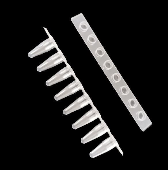 MUHWA 0.1ml PCR Tube 8 Strips PCR Tubes Transparent PCR Reaction Tube with Flat Cap, DNase/RNase Free, Pyrogen Safe 125 Strips/Pack