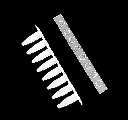 MUHWA 0.2ml PCR Tube 8 Strips PCR Tubes White PCR Reaction Tube with Flat Cap, DNase/RNase Free, Pyrogen Safe 125 Strips/Pack