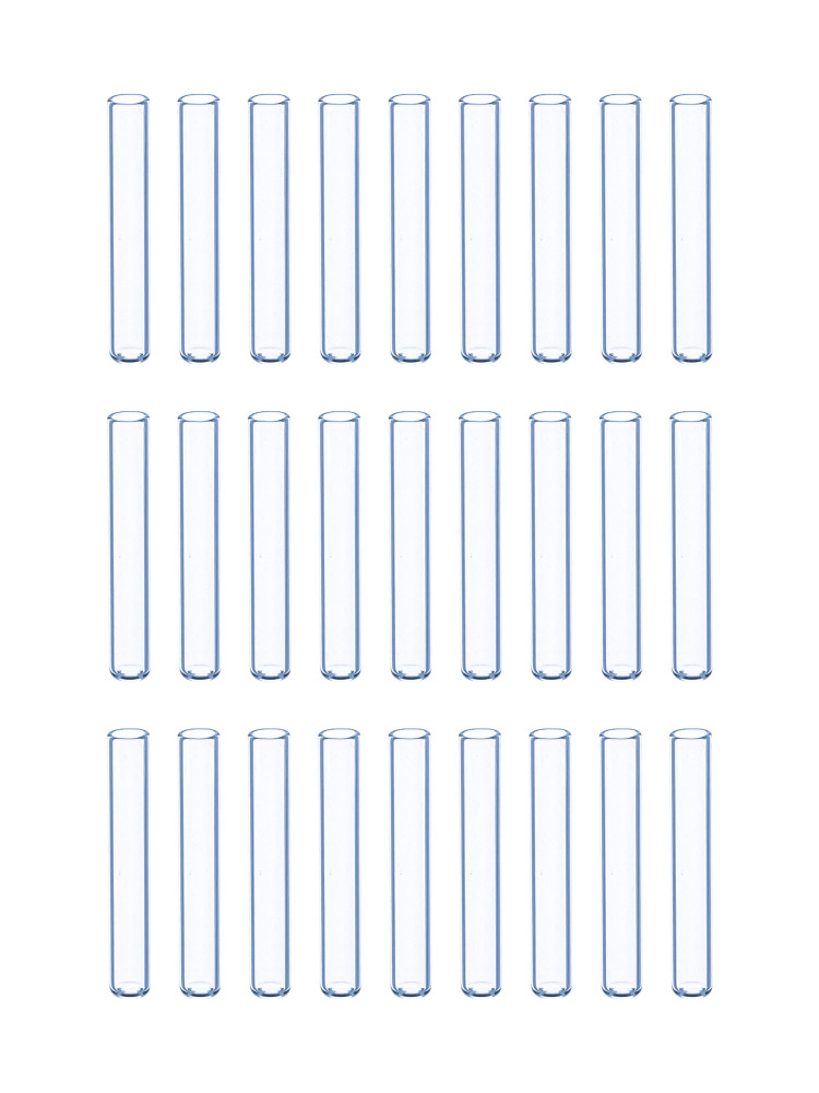 MUHWA 100pcs Glass Insert, 5x31mm Micro-Insert with Flat Bottom, 250uL Flat Bottom Inserts