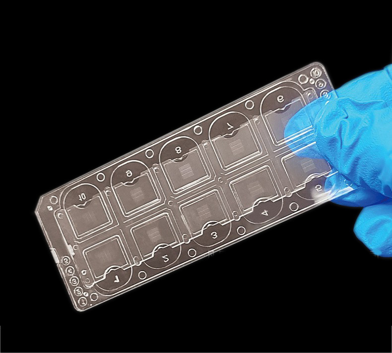 MUHWA Counting Chamber for Urine Sediments