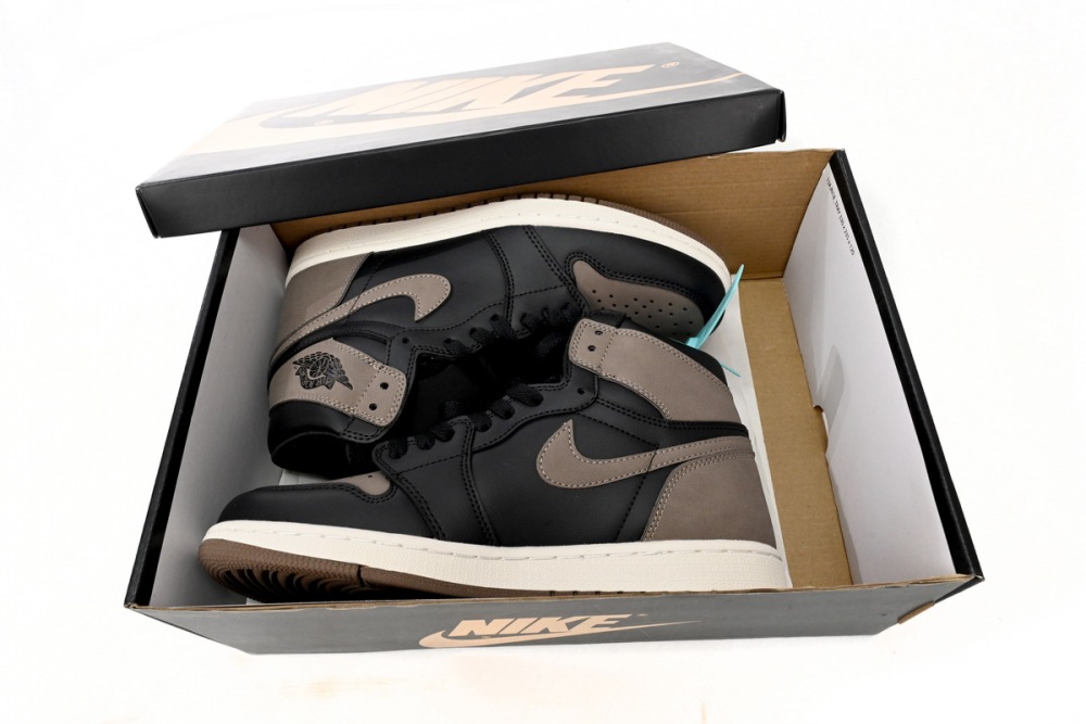 DZ5485-200 Nike Air Jordan 1 High OG Palomino