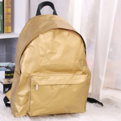 Tyvek paper bag