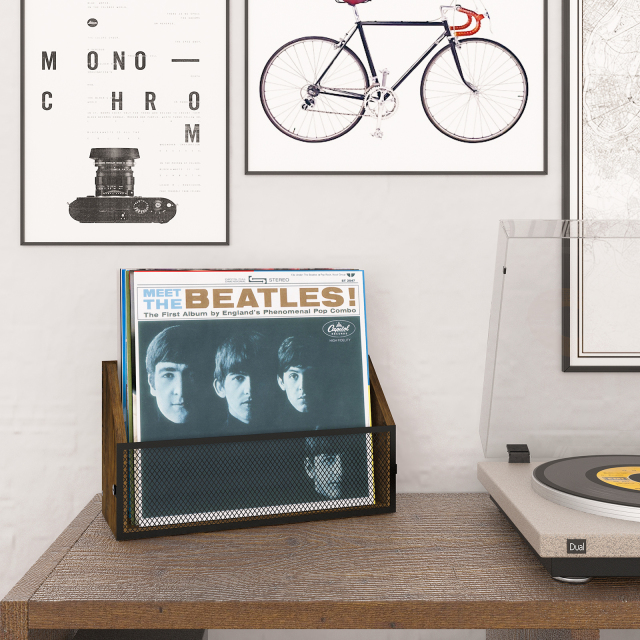 Wall Mounted or Countertop Record Storage Box