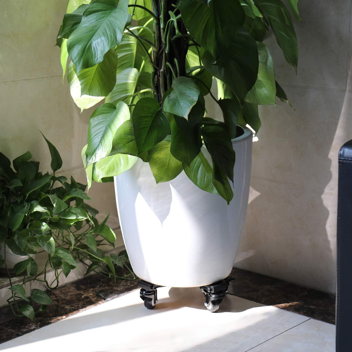 Plant Caddy Adjustable Tool Racks Organizer