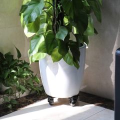 Plant Caddy Adjustable Tool Racks Organizer