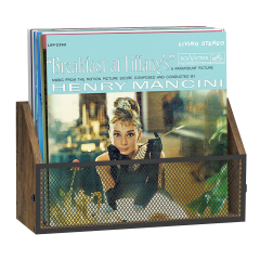 Wall Mounted or Countertop Record Storage Box