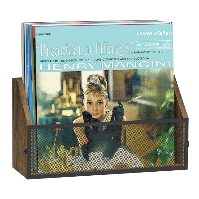 Wall Mounted or Countertop Record Storage Box
