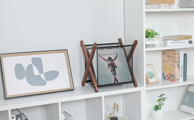 X Shape Magazine Record Rack Storage
