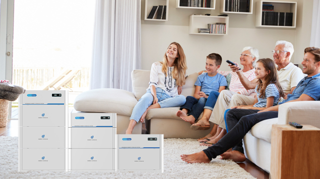 Mint Energy Storage System