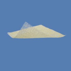 Medical honey dressing (Manuka)