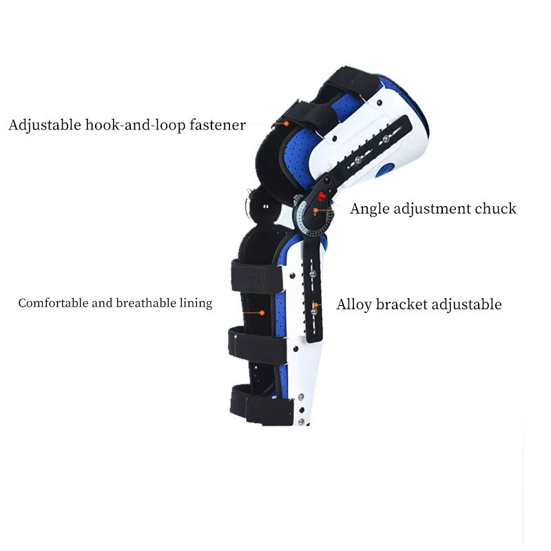 Knee fixed support