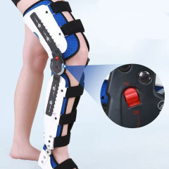 Knee fixed support