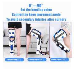 Knee fixed support