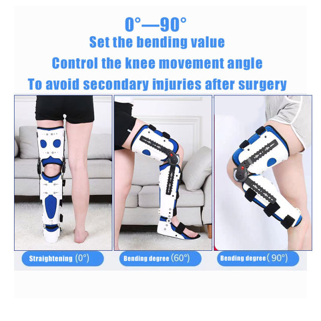 Knee fixed support