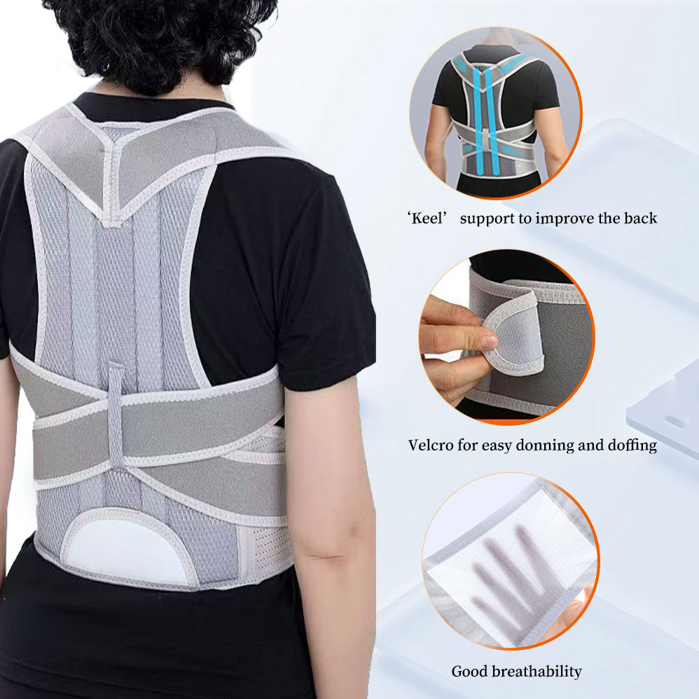 Back support orthosis