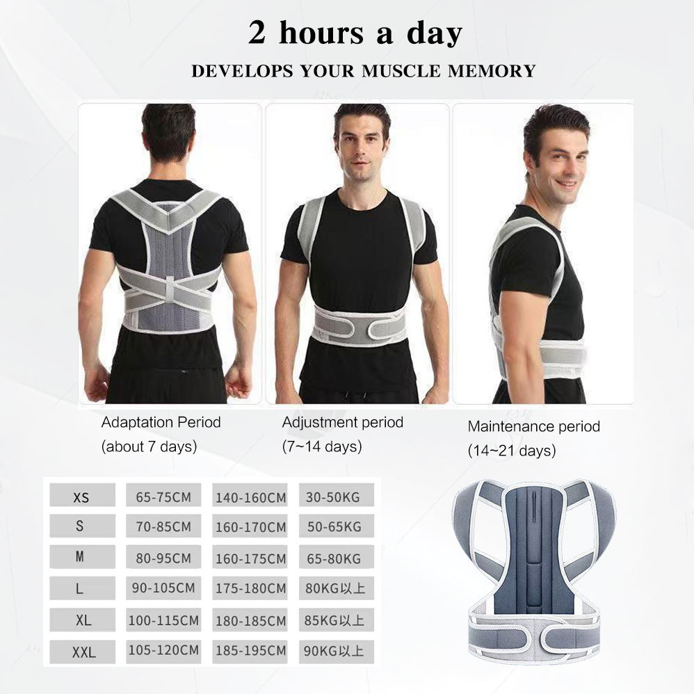 Back support orthosis