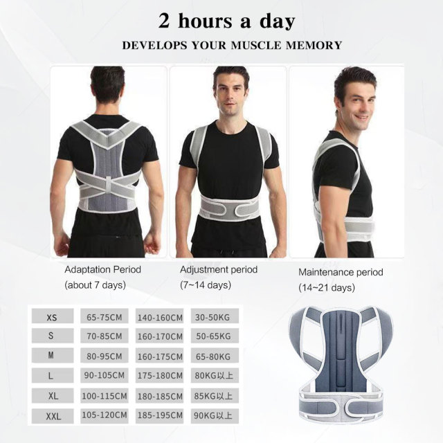 Ortesi di supporto per la schiena