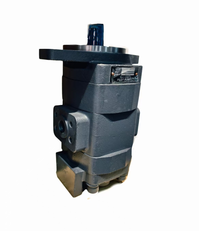 High Pressure Walking Oil Pump Dual Gear Pump Hydraulic Pump