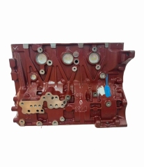 Cylinder Block Assembly