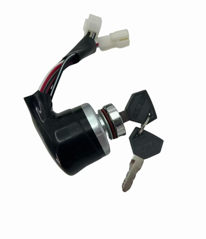 Ignition Switch with Keys