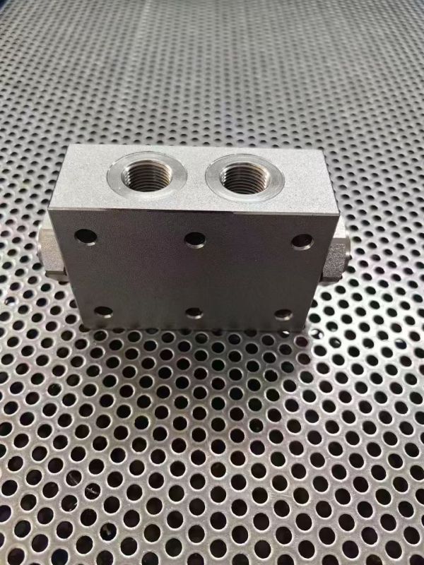 Max Pressure 350bra Max Flow 30~55 Double pilot operated check valve flangeable