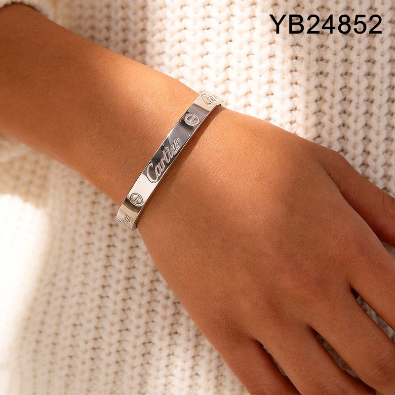 Level B Stainless Steel New Trendy Women Jewelry Steel color Bangle