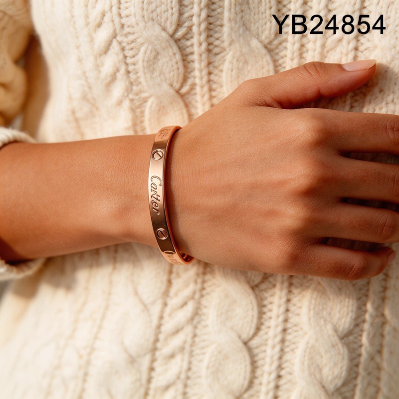 Level B Stainless Steel New Trendy Women Jewelry Rose gold Bangle