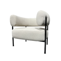 Modern Furniture Leisure Living Room Accent Chairs