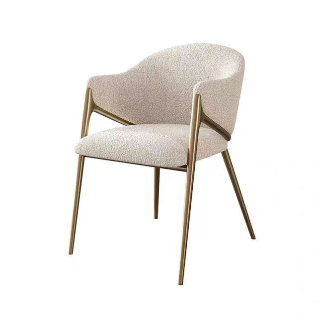 Nordic Minimalist Design Dining Chairs