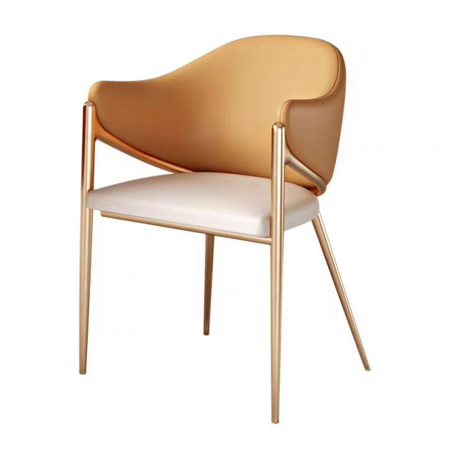 Nordic Minimalist Design Dining Chairs
