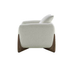 Velvet Accent couches