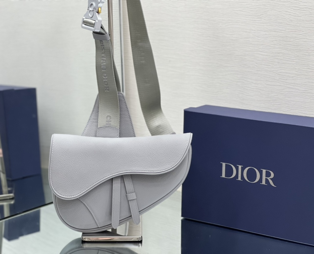 Dior man's grey saddle bag