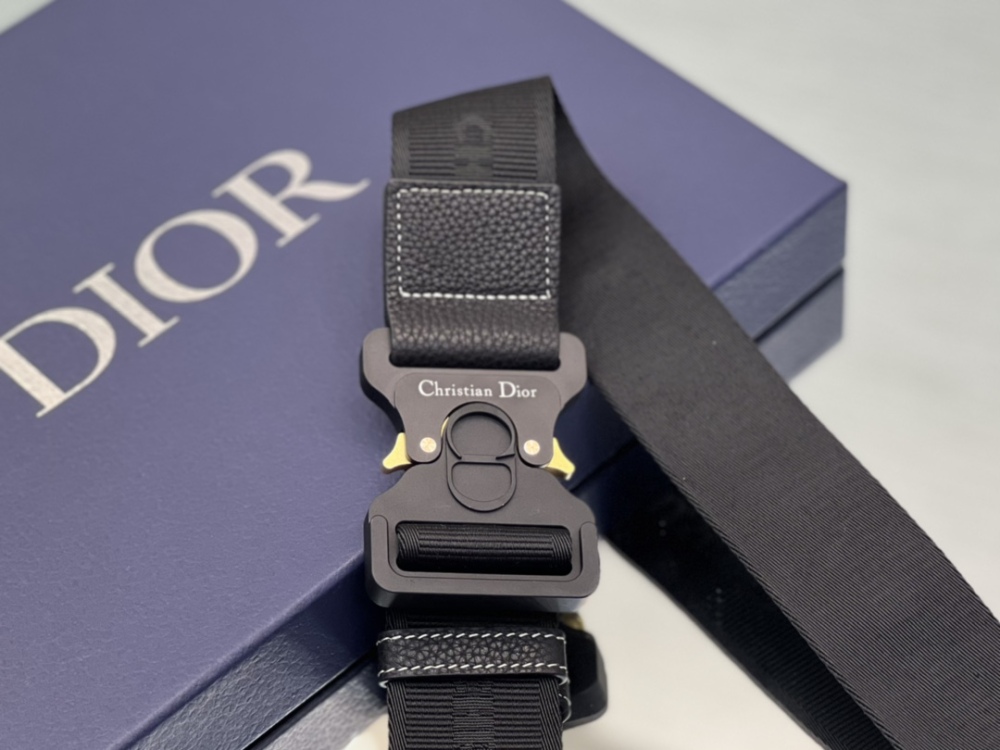 Dior manbag