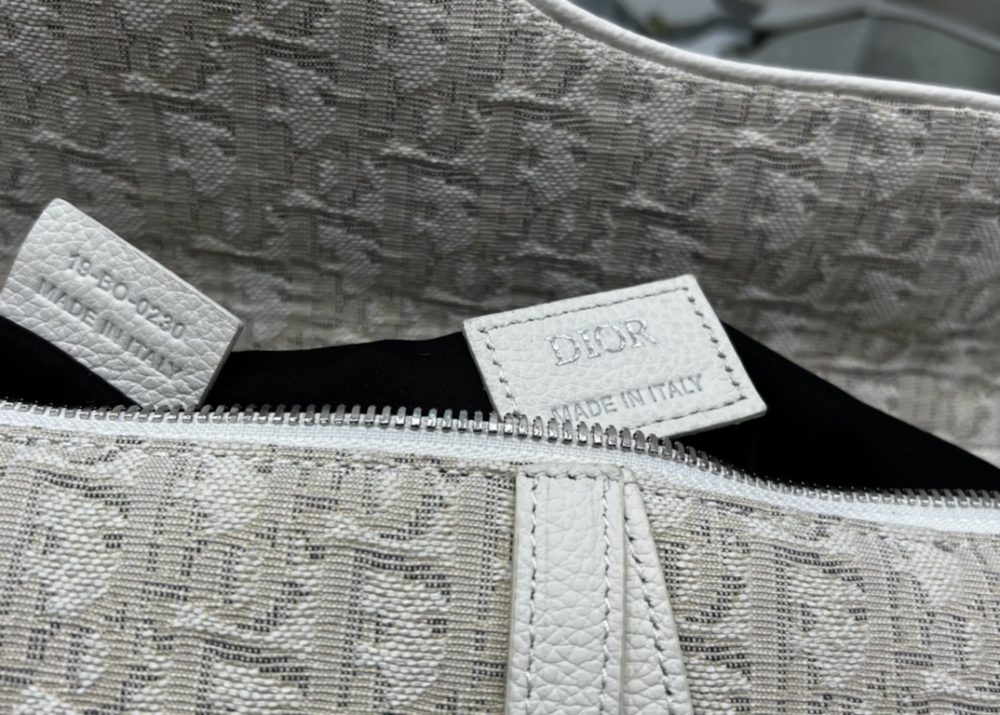 Dior manbag