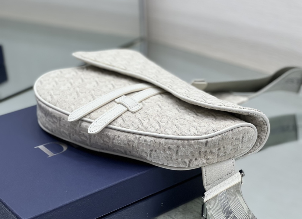 Dior manbag