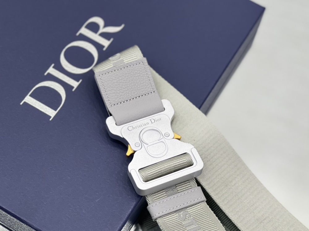 Dior manbag